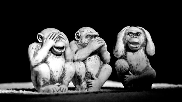 Anderson Mancini, Three wise monkeys, cc-by-2.0